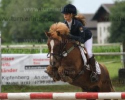 Springpferd Bungee 11 (Welsh Pony (Sek.B), 2000, von Courage)