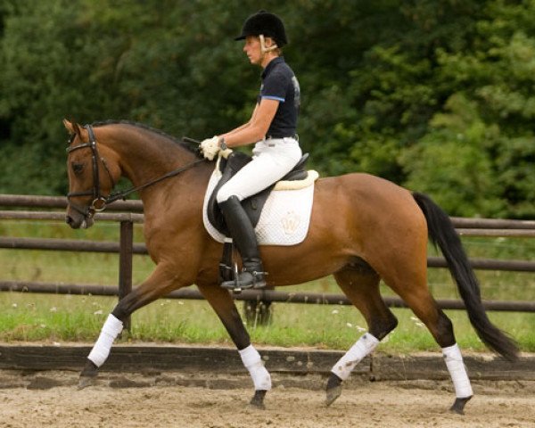 broodmare Celebration T (German Riding Pony, 2009, from Classic Dancer II)