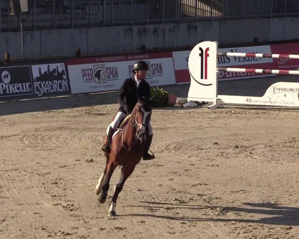 Reitturnier Westergellersen 2022