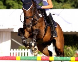 jumper Prudence de Beaufour (Selle Français, 2003, from Adelfos)