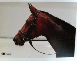 broodmare Florentine 83 (Hanoverian, 2004, from Fielmann)