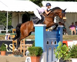 jumper First Choice 15 (Hessian Warmblood, 2003, from For Keeps)