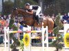 Springpferd Lamiro W (Westfale, 2003, von Larius W)