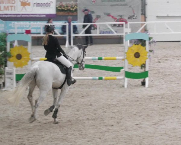 Reitturnier Borken 2022