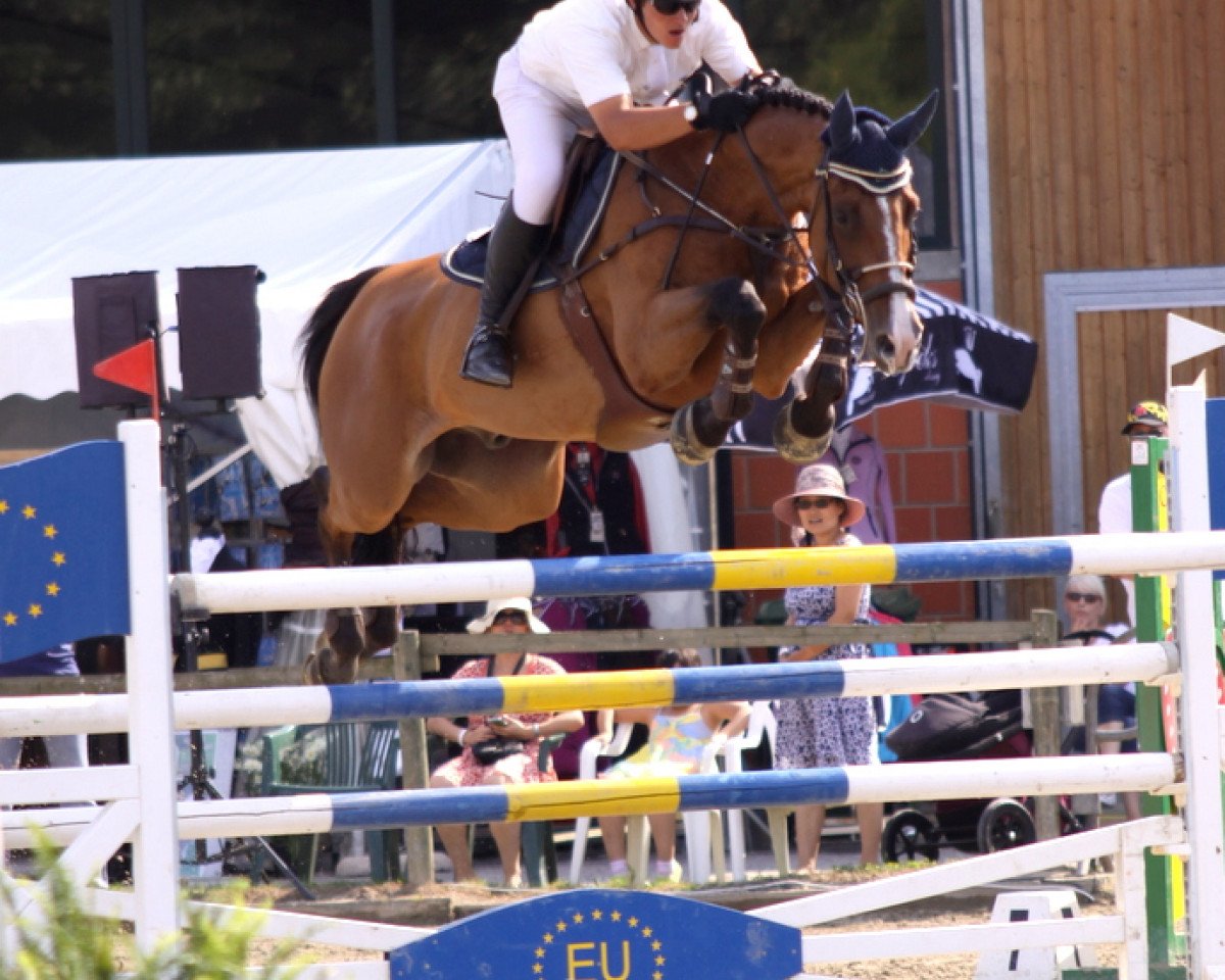 jumper Aspen 11 (Holsteiner, 2000, from Acorado I)