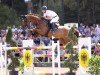 jumper As Di Azurro (Oldenburg show jumper, 2003, from Acadius)