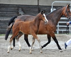 broodmare Deichfee (Bavarian, 1997, from Poseidon)