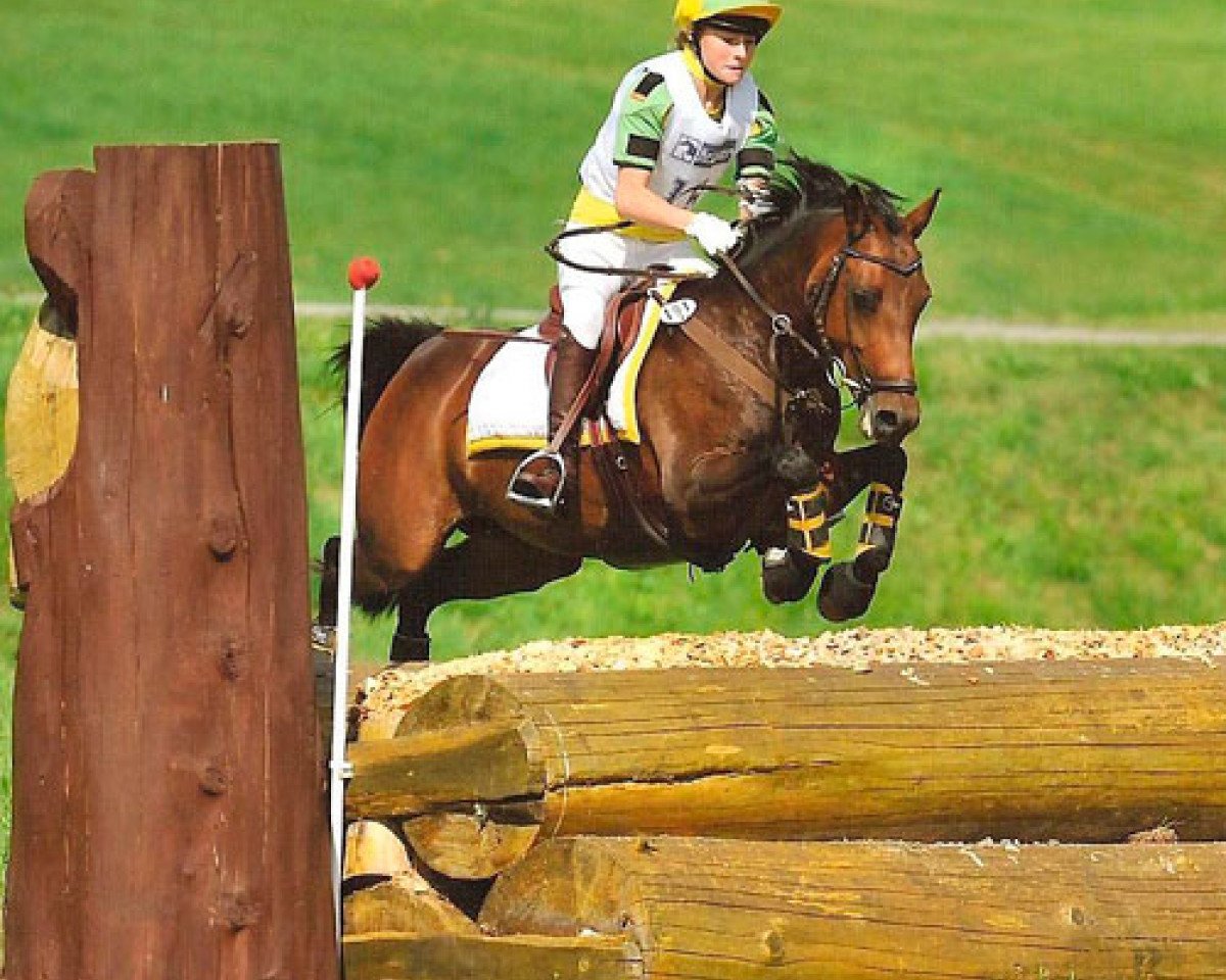 Springpferd Jacira (Deutsches Reitpony, 2003, von Ballentines)