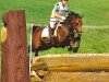 jumper Jacira (German Riding Pony, 2003, from Ballentines)