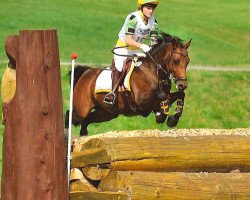 jumper Jacira (German Riding Pony, 2003, from Ballentines)