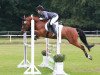 jumper Lagostino (German Riding Pony, 2007, from Lagos 72)