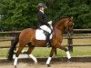 dressage horse Cool Man (German Riding Pony, 2005, from Chevallier)