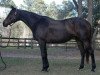 broodmare Akula (Thoroughbred, 1989, from Assault Landing xx)