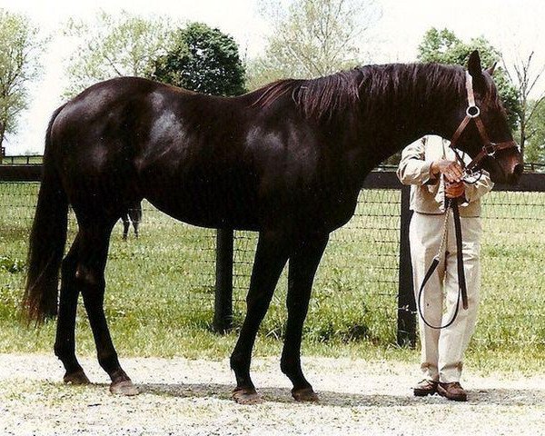 stallion Buckfinder xx (Thoroughbred, 1974, from Buckpasser xx)