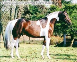 stallion Hall of Fame (Oldenburg, 1989, from Art Deco)