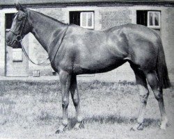 broodmare Sanlinea xx (Thoroughbred, 1947, from Precipitation xx)