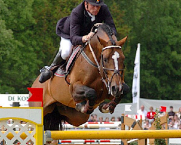 horse Orlando van de Heffinck (Belgian Warmblood, 1996, from Heartbreaker)