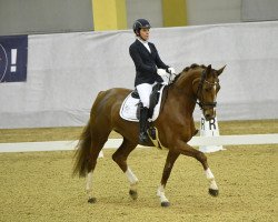 dressage horse Donna Rosa Fm (Hanoverian, 2015, from De Niro)