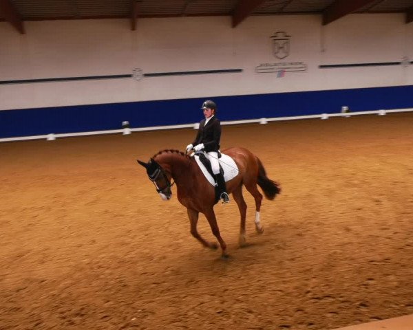 Reitturnier Elmshorn 2022