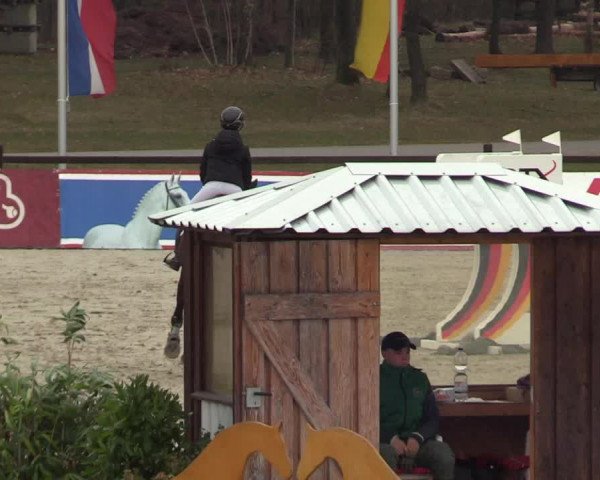 Reitturnier Westergellersen 2022