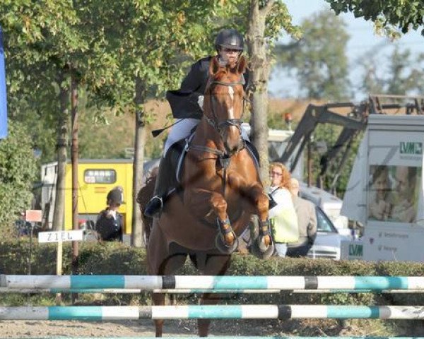 dressage horse Ramira Loreen (Hanoverian, 2002)