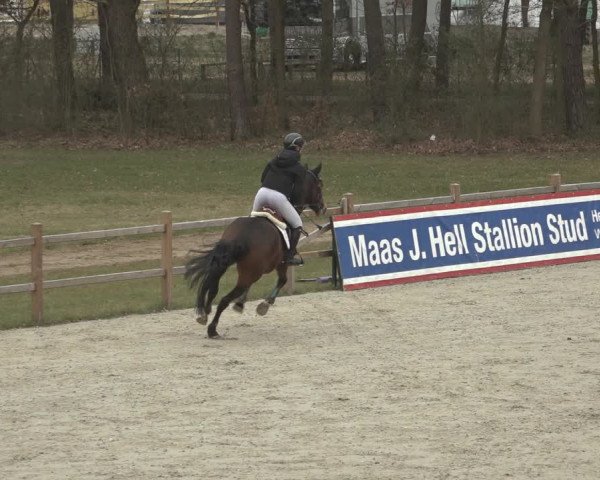 Reitturnier Westergellersen 2022