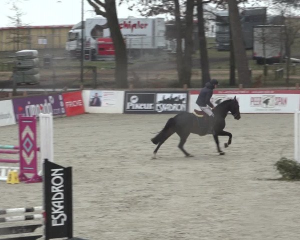 Reitturnier Westergellersen 2022