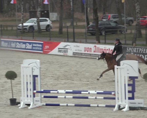 Reitturnier Westergellersen 2022