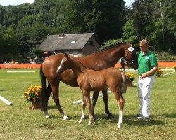 broodmare Nicole Claire PK (Rhinelander, 2013, from Fs Numero Uno)