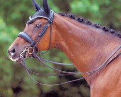 horse Wie noch nie (Hanoverian, 2001, from Welser)