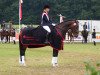 dressage horse Raskadero (Westphalian, 2006, from Rascalino)