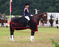 dressage horse Raskadero (Westphalian, 2006, from Rascalino)