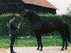 stallion Dukat AA (Little-Poland (malopolska), 1988, from Pick Wick AA)