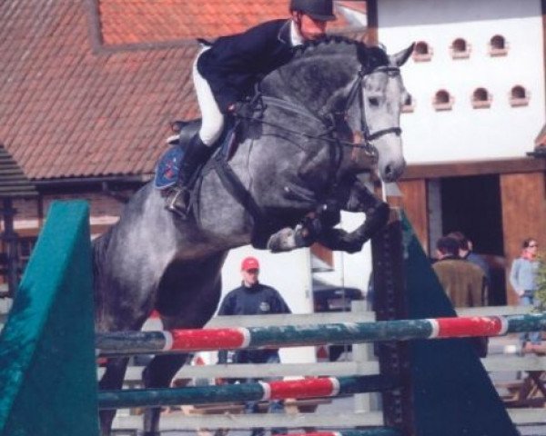 stallion Alvaceno (Bavarian, 2001, from Alvarez)