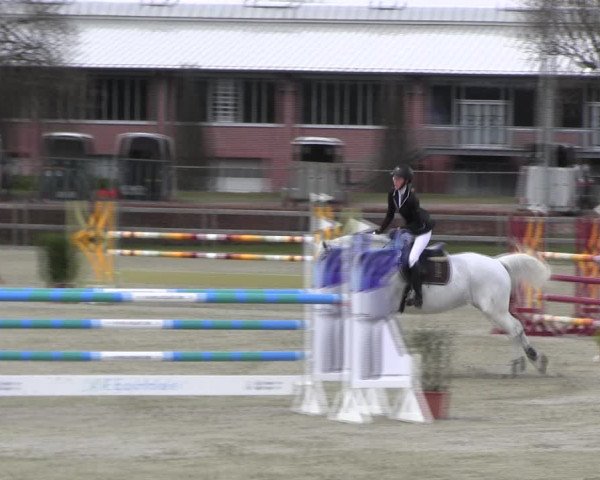 Reitturnier Elmshorn 2022