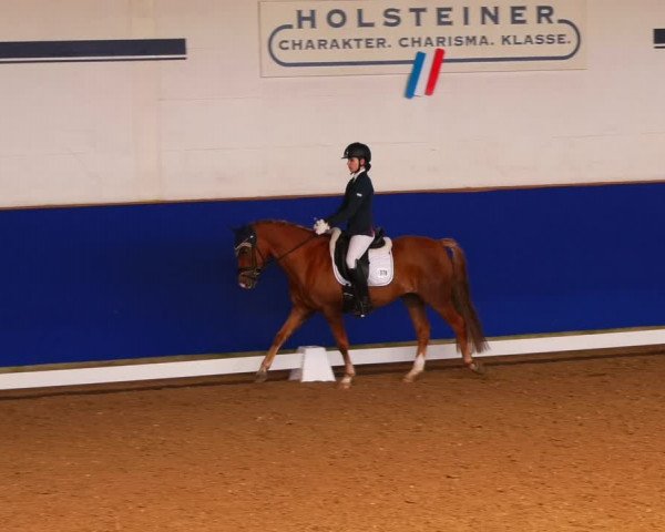Reitturnier Elmshorn 2022
