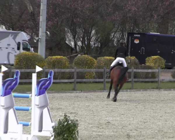 Reitturnier Elmshorn 2022