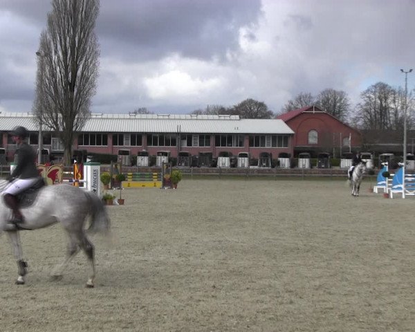Reitturnier Elmshorn 2022