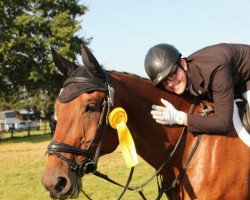 Springpferd Probot (Polnisches Warmblut, 2004, von Ekoton)