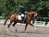 dressage horse Larestan (Hanoverian, 1995, from Lanthan)