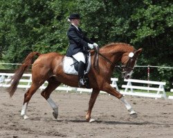 dressage horse Larestan (Hanoverian, 1995, from Lanthan)