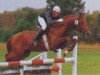 stallion Pinkus (Hanoverian, 1983, from Pandur)