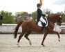 dressage horse Eigenwijs (KWPN (Royal Dutch Sporthorse), 2009, from Jazz)