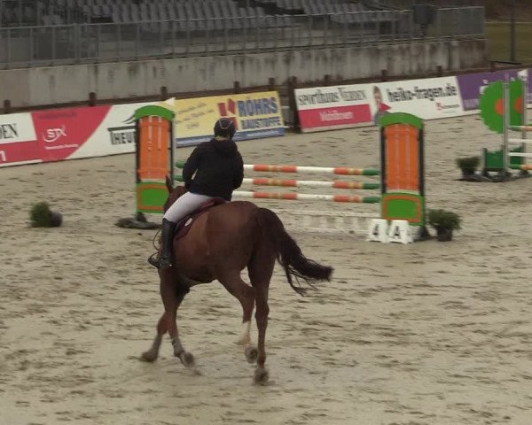 Reitturnier Westergellersen 2022