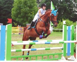 jumper Zlaty Bazant (Oldenburg, 2003, from Zapateado 128 FIN)