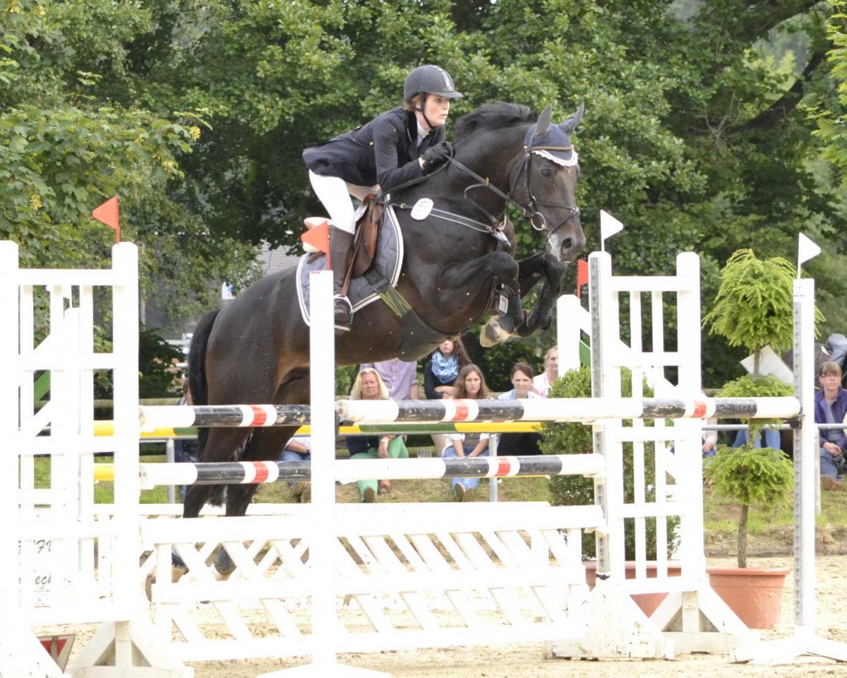 stallion Con Cornet S (Westphalian, 2004, from Cornet Obolensky)