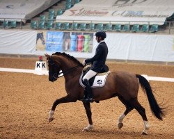 dressage horse Edward of Locksley (Oldenburg, 2014, from Escolar)