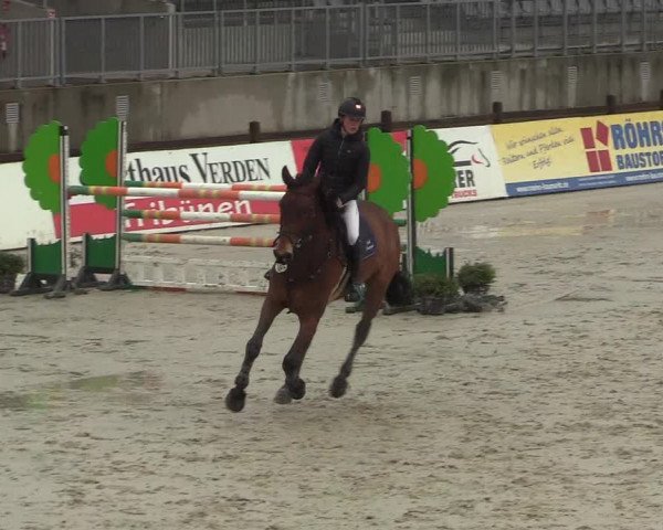 Reitturnier Westergellersen 2022