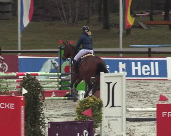Reitturnier Westergellersen 2022