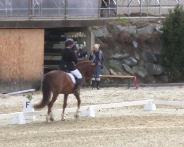 Reitturnier K, St. Margarethen-Stückler 2022